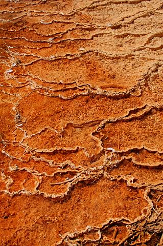 054 yellowstone, mammoth hot springs, upper terraces.JPG